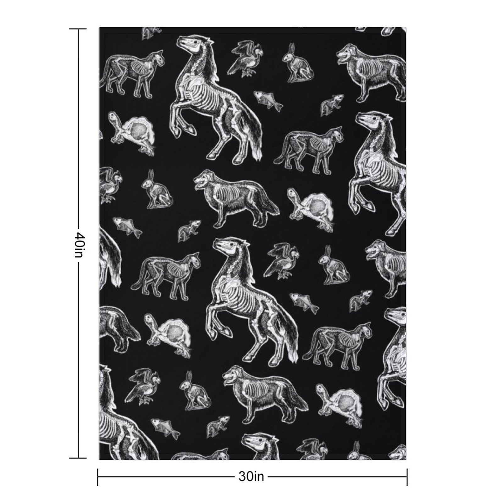 Veterinary Technician :: X-ray - 3D Printing X Ray ulasan dan harga